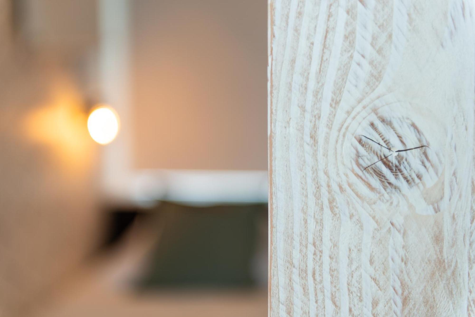 Appartement Zuyd Zandvoort Eksteriør billede